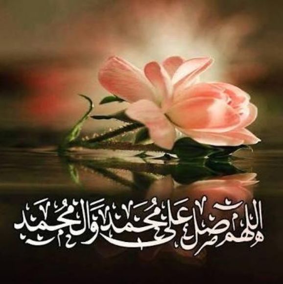 Meet your Posher, Naz - Picture 1 of 1